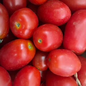 datterino rosso