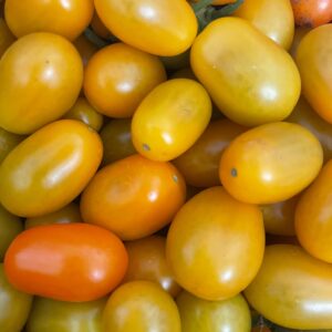 datterino giallo
