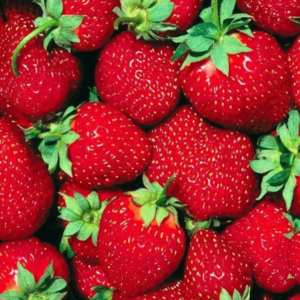 fragole